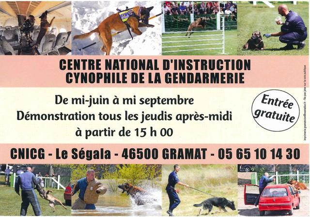 dressage chien 57